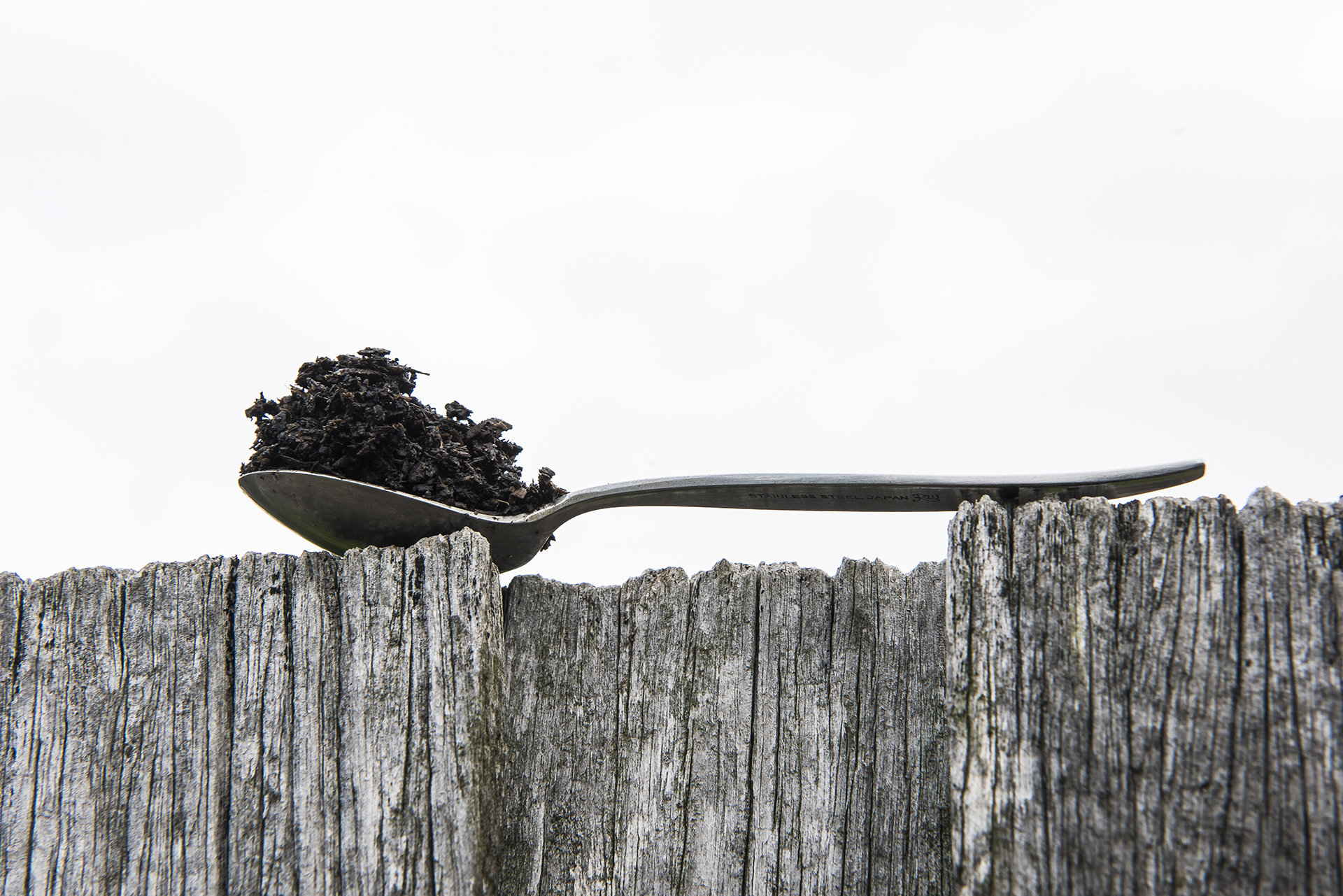 Plant Table - image of giant spoon on cliff with trees growing out of it