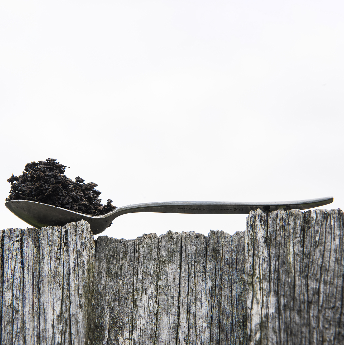 Plant Table - image of giant spoon on cliff with trees growing out of it